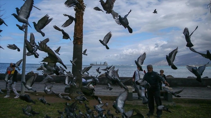 Depremlerin vurduğu İskenderun'daki kuşlar 