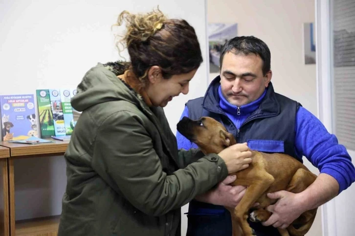 Depremzede aile ile depremzede köpeğin buluşma anı
