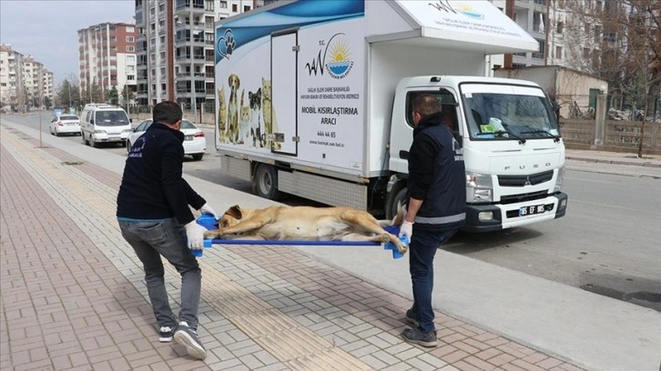 Depremzede hayvanların tedavi ve beslemeleri Van'dan gelen mobil ekiplerce karşılanıyor