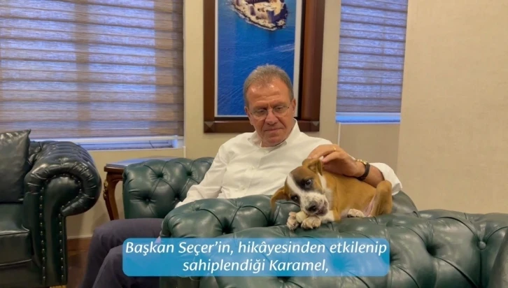 Depremzede köpeğin yavrusu belediyenin maskotu oldu
