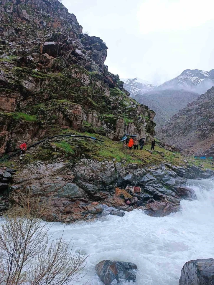 Dereye düşen at kurtarıldı
