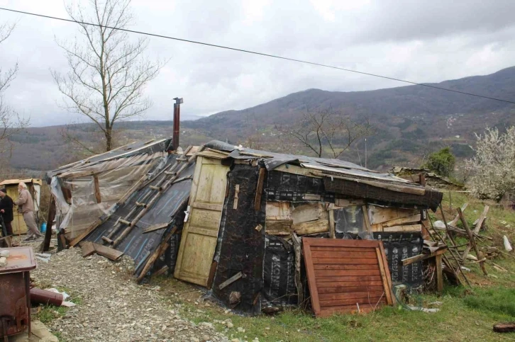 Derme çatma barakada yaşam mücadelesi veriyor
