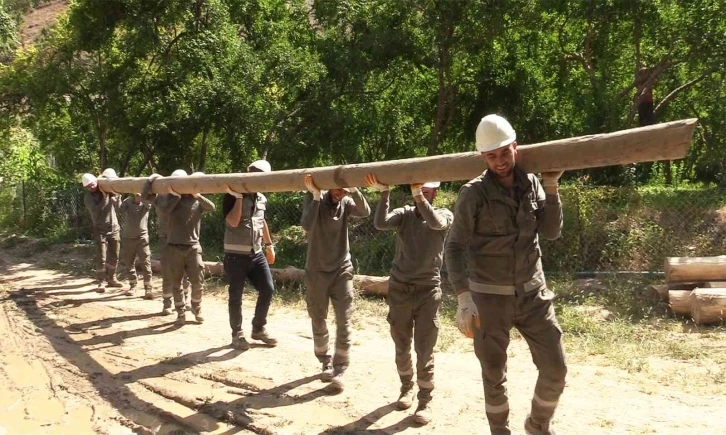 Dicle Elektrik şebekeyi kışa hazırlıyor
