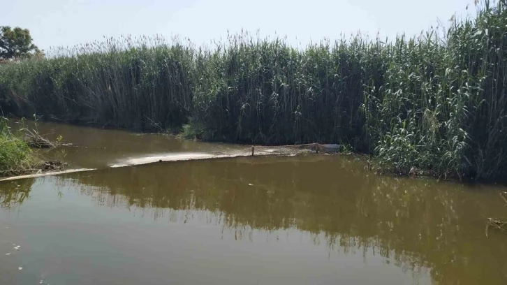 Didim’de hayalet ağ operasyonu: "Sahipsiz gergi ağları imha edildi"
