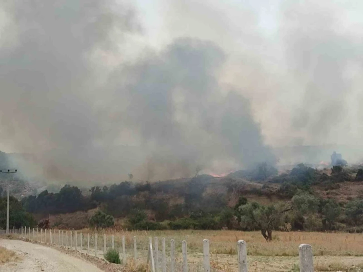 Didim’deki yangın kontrol altına alındı
