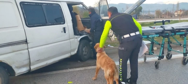 Direğe çarpan aracın içinde sıkışan sürücüyü köpeği yalnız bırakmadı
