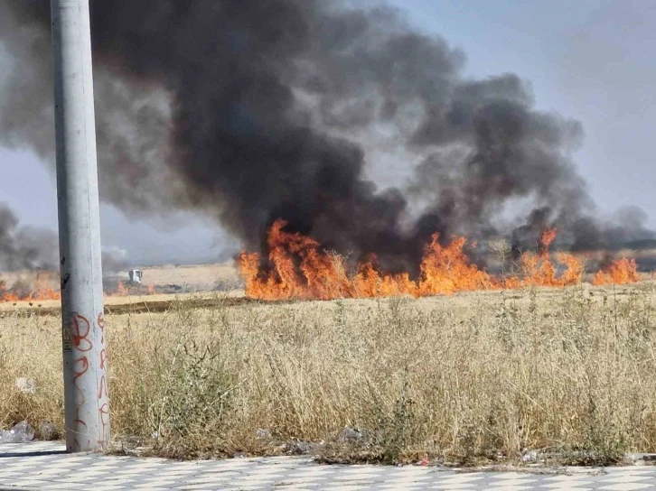 Diyarbakır’da çıkan anız yangını söndürüldü
