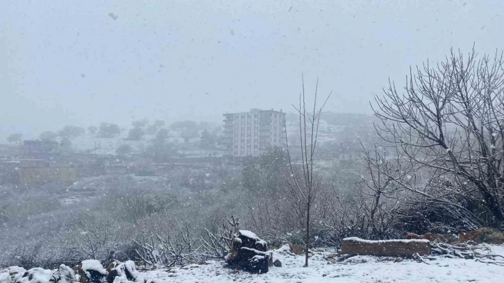 Diyarbakır’da etkili olan kar yağışı çiftçiyi hem sevindirdi hem de korkuttu
