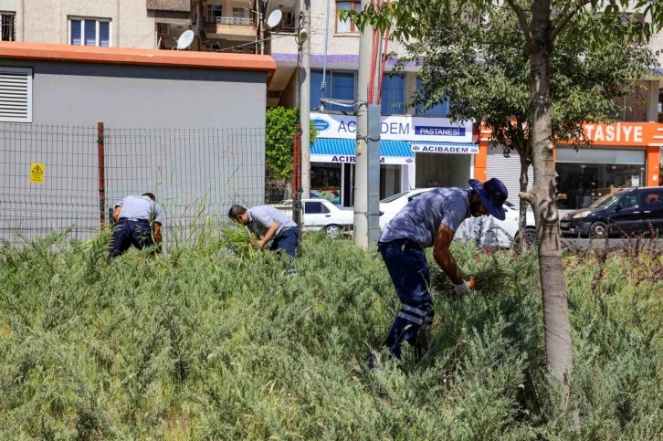 Diyarbakır’da park ve bahçelerde temizlik çalışmaları
