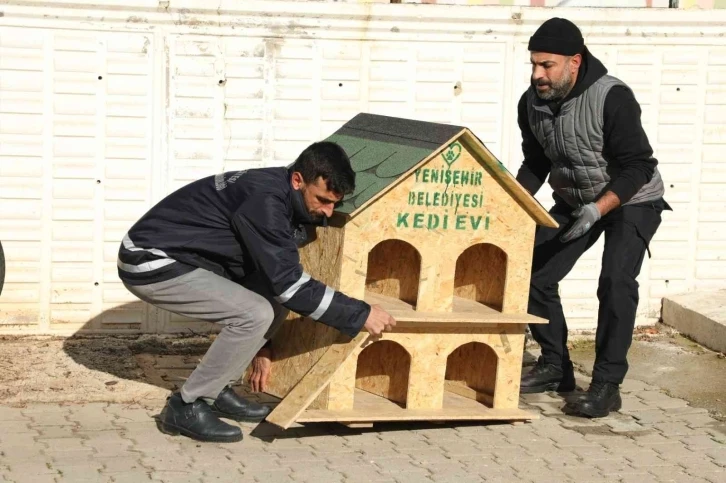 Diyarbakır’da sokak hayvanları için 200 adet ev yerleştirildi
