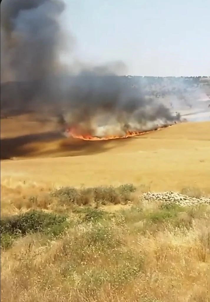 Diyarbakır’da yaklaşık 130 dönümlük buğday tarlası küle döndü
