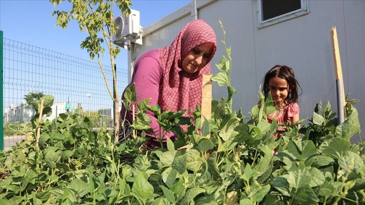 Diyarbakır'da depremzedeler konteynerlerin çevresini sebze bahçesine dönüştürdü