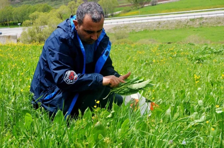 Doğadan sofralara gelen lezzetler
