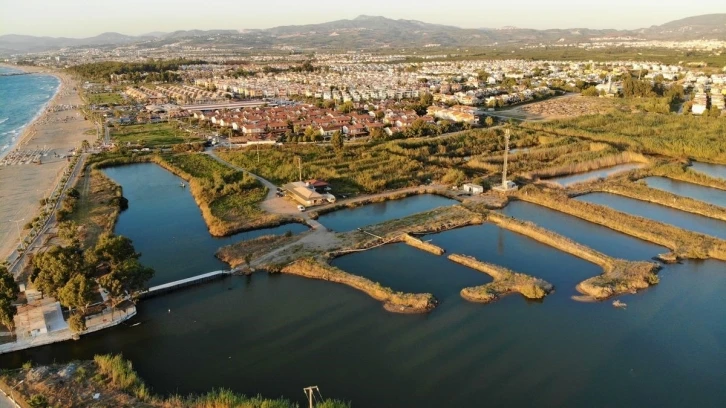 Doğaseverlerden Kocagöl için “Tabiat Parkı” statüsü talebi
