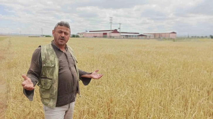 Dolu yağışı, çiftçinin bir yıllık emeği ve alın terini götürdü
