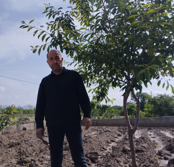 Dolu zararı kiraz üreticisinin belini büktü
