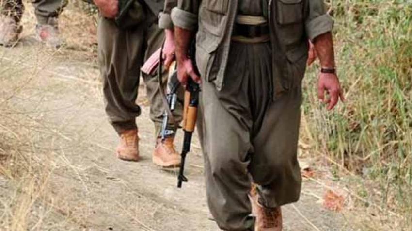 Ceylanpınar´da PKK operasyonu; 5 gözaltı