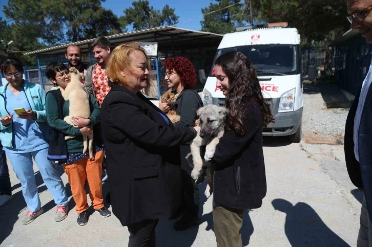 Dünya Veteriner Hekimler Günü kutlandı
