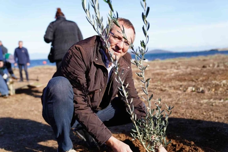 Ayvalık'ta Dünya Zeytin Ağacı Günü kutlandı