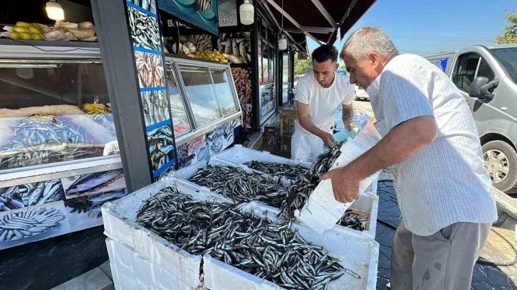 Düzce’de hamsi fiyatı 20 liraya kadar düştü
