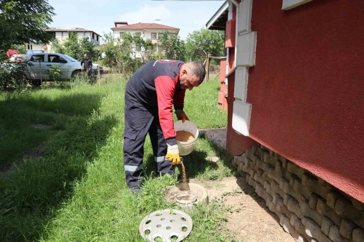 Düzce’de haşere ile mücadele sürüyor
