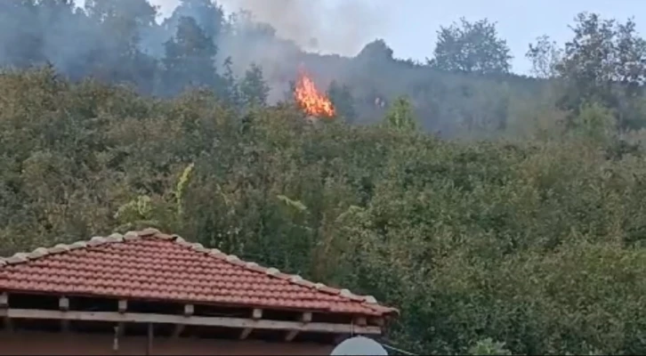 Düzce’de korkutan yangın
