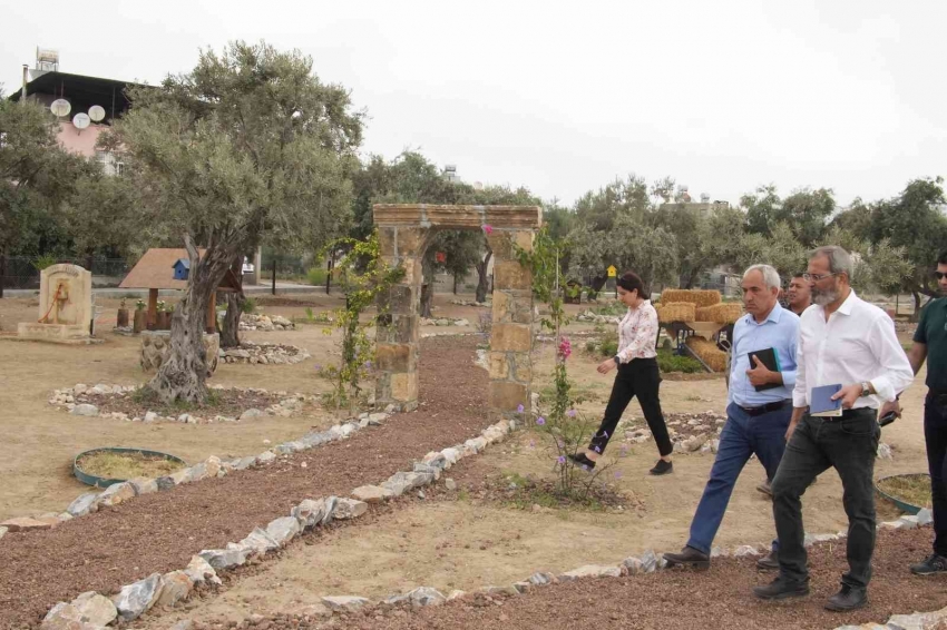 Zeytin Gen Koruma Alanı açılıyor