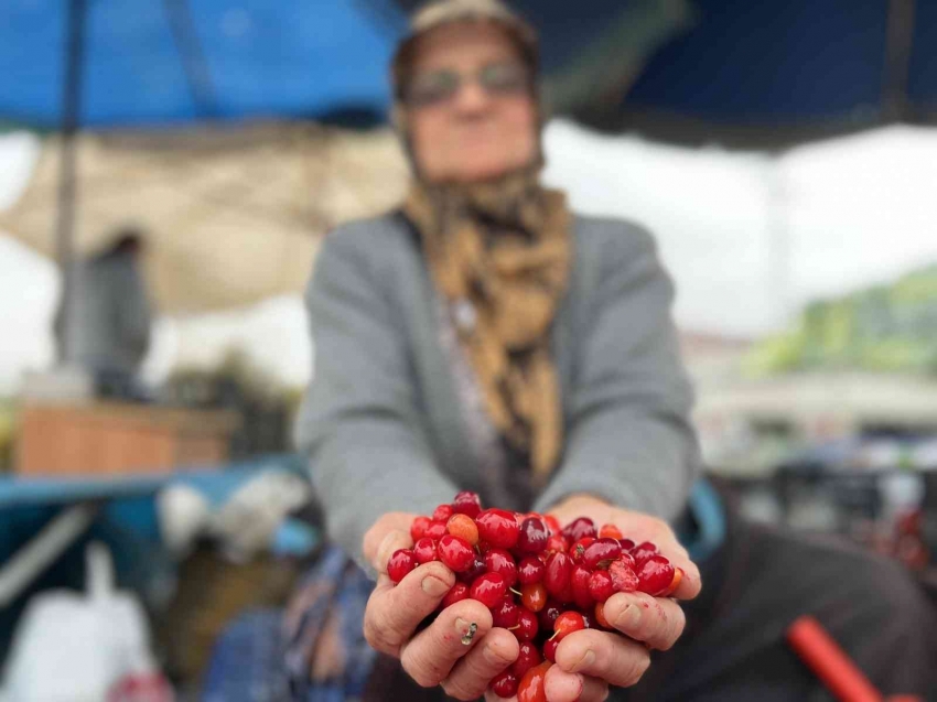 Şifa deposu tezgahtaki yerini aldı