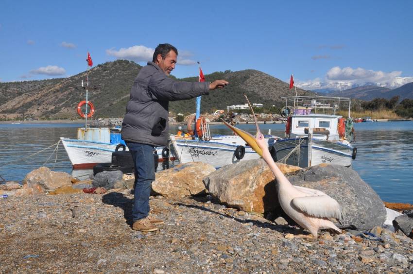 Gazipaşa Lİmanı’nın maskotu oldu