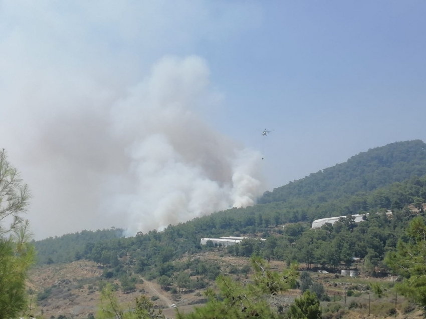 Mersin’de orman yangınına 2 uçak ve 5 helikopterle müdahale ediliyor