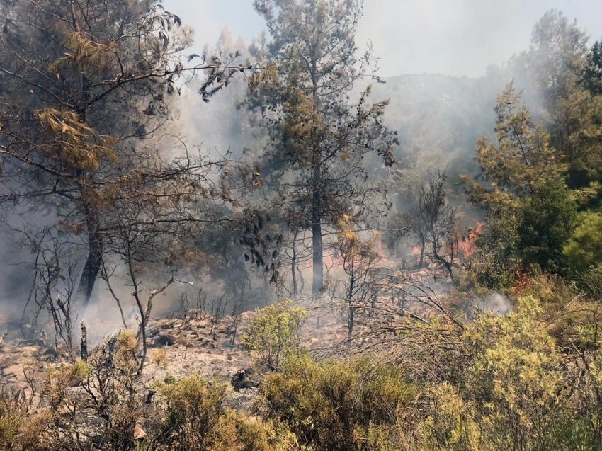 Fethiye’de orman yangını