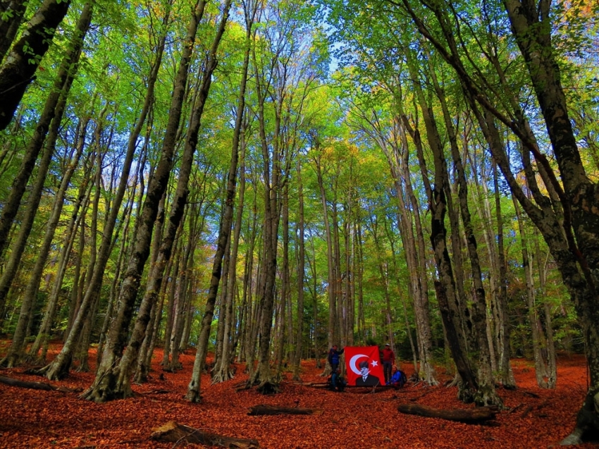 Kazdağları her mevsim başka renk giyiniyor