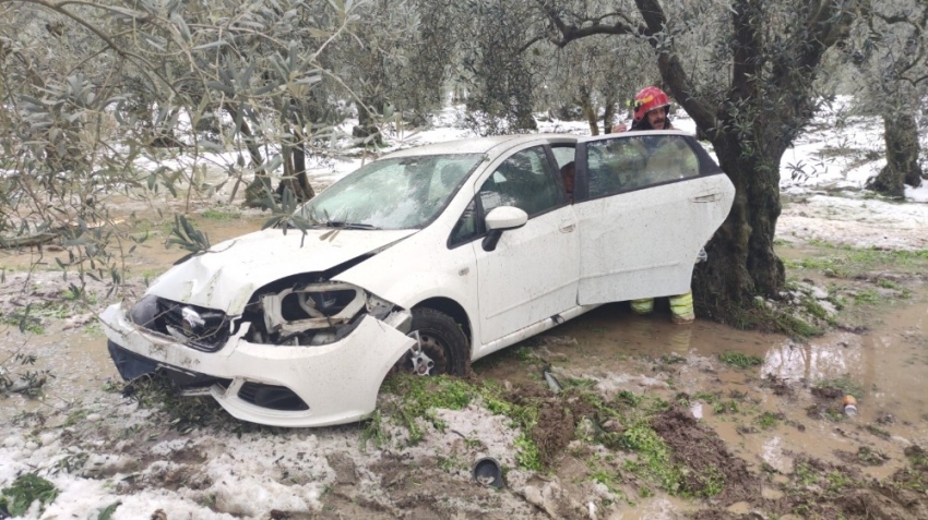 Bursa'da otomobil zeytinliğe uçtu