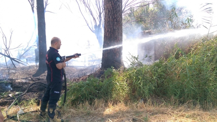 Manisa’da ot yangını korkuttu