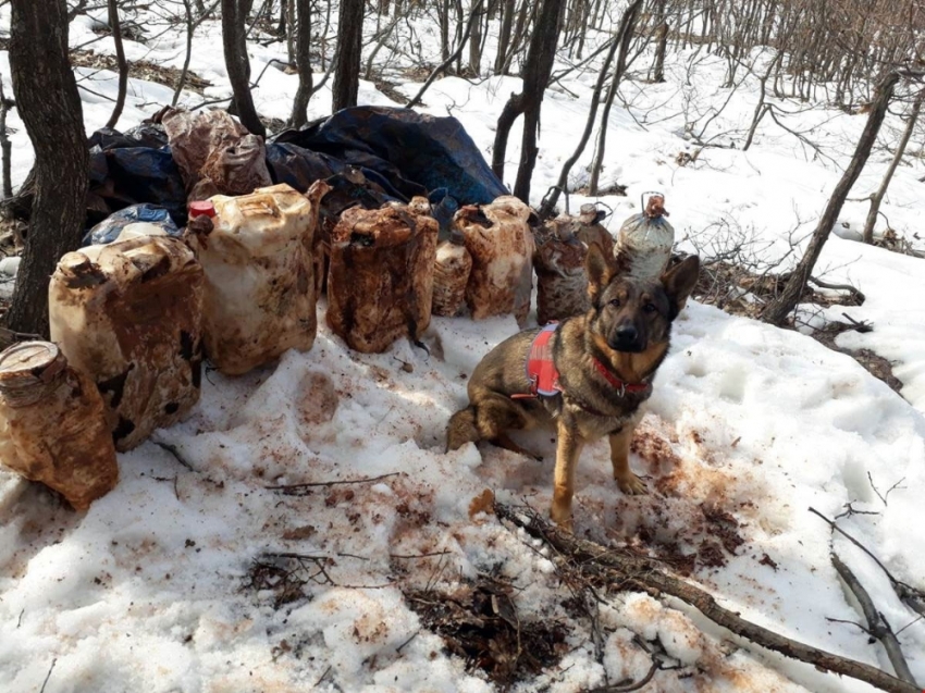 Tunceli’de 4 sığınak imha edildi, 150 kiloluk patlayıcı ele geçirildi