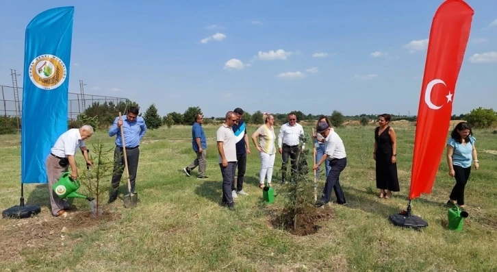 Edirne’de 15 Temmuz şehitleri anısına hatıra ormanı oluşturuldu
