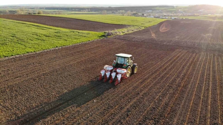 Edirne’de ayçiçeği ekim mesaisi başladı