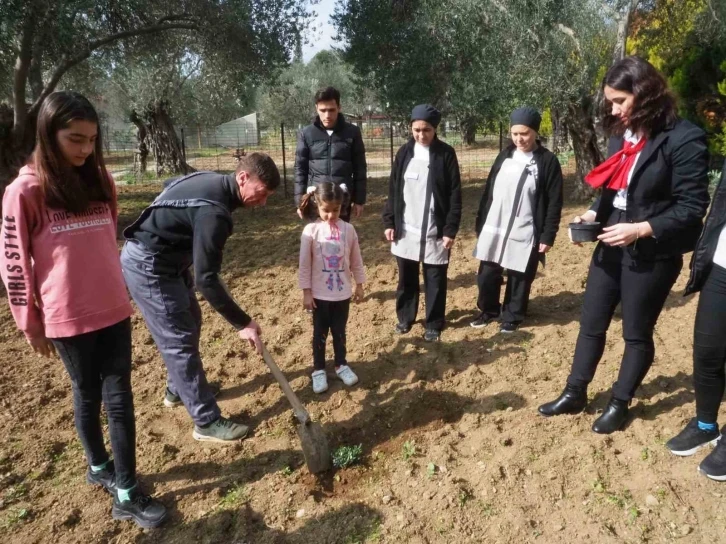 Edremit’te depremzedeler, konakladıkları otelin bahçesine zeytin fidanı dikti
