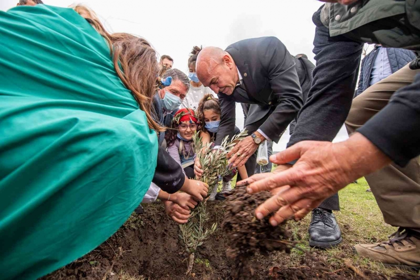 Zeytin Barış Festivali “Bir Zeytin Dalı Yeter” sloganıyla başladı