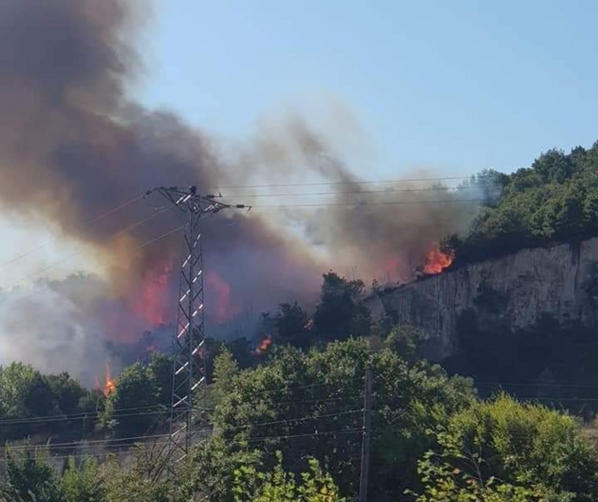 Biga’da orman yangını