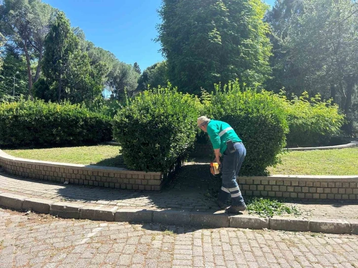 Efeler’in yeşil ekipleri kenti güzelleştiriyor
