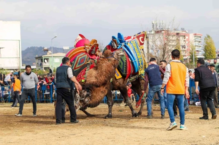 Develer arenaya indi, sezonun ilk güreşi başladı