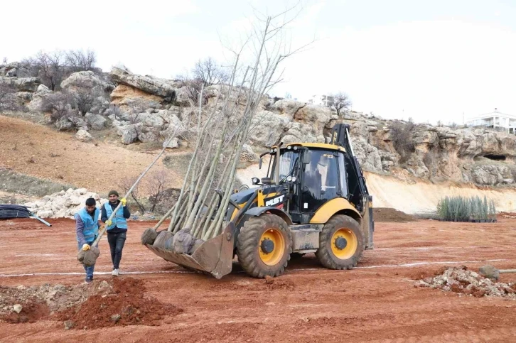 Eğil’de peyzaj çalışmaları başladı
