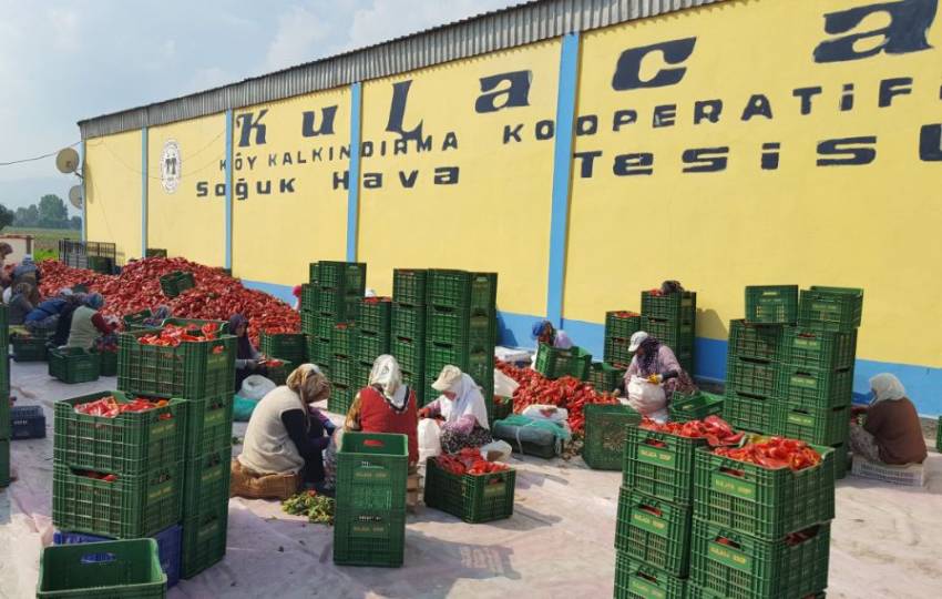  Hollanda damak tadını Bursa’da buldu