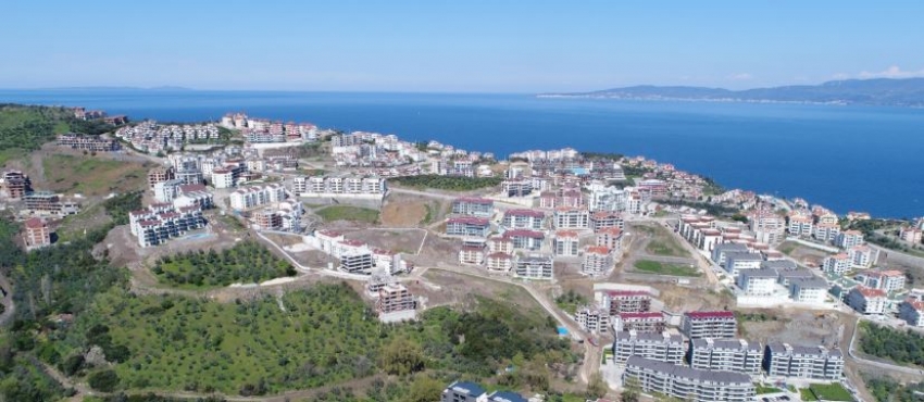 Mudanya'da zeytinliklere yapılan binlerce konut yıkılabilir