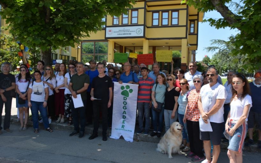 Bursa'da turizm için geyiklerin ihaleye çıkmasına tepki