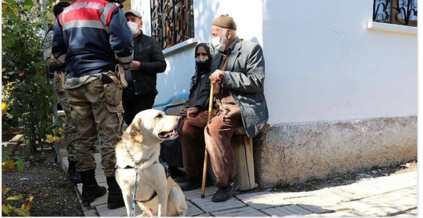 Kaybolan yaşlı kadını iz takip köpeği 'Dost' buldu