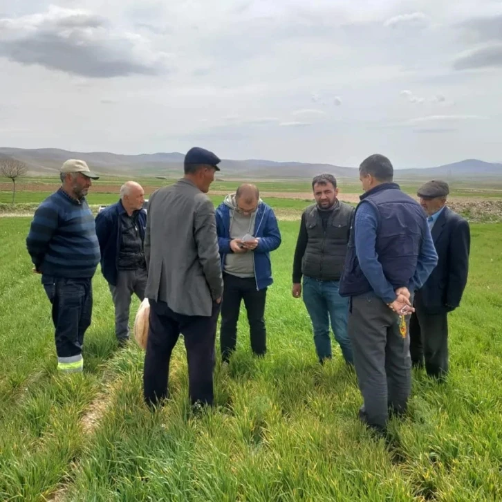 Ekinlerde görülen hastalıklara karşı bilgilendirme toplantısı yapıldı
