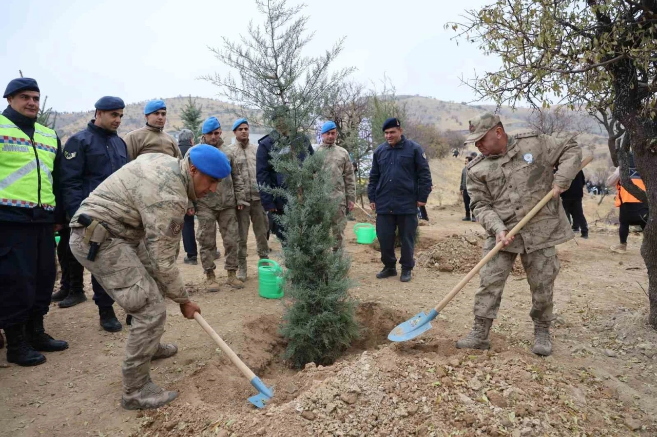 Elazığ’da 2 bin 300 fidan toprakla buluştu
