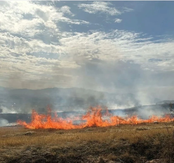 Elazığ’da korkutan anız yangını
